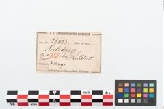 Etikett zu Bronzegehänge (NHMW-PRAE-026025)